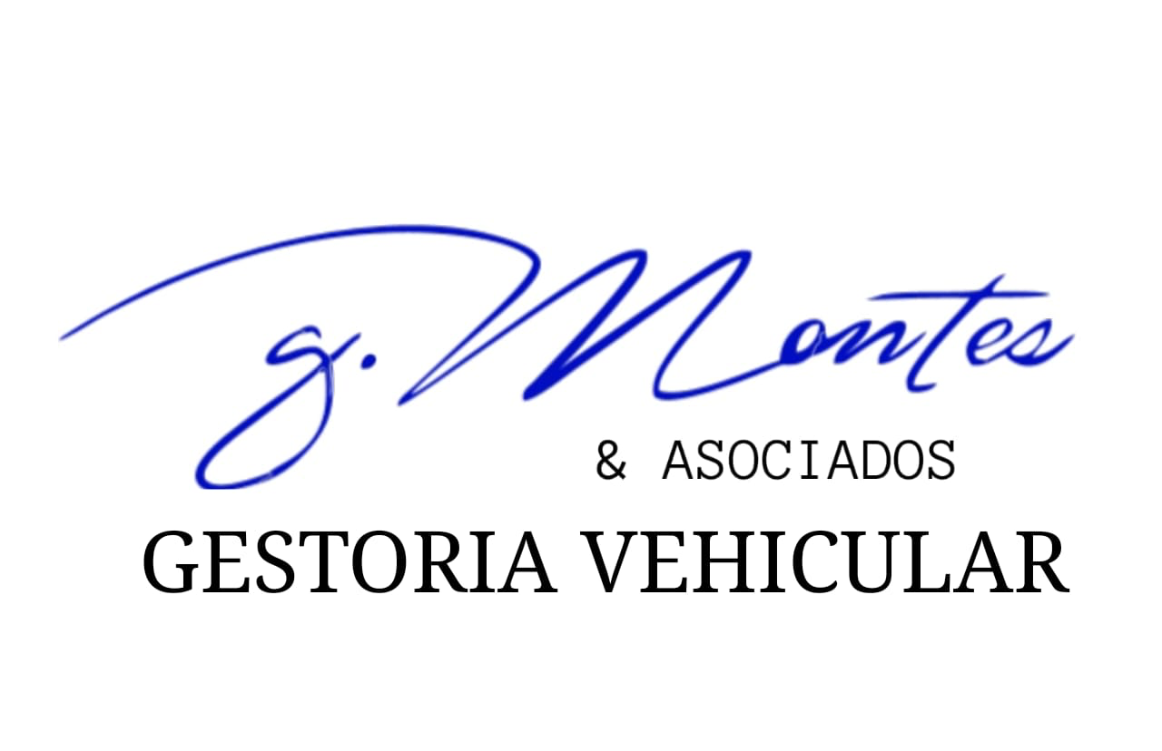 Montes y Asociados Gestoría Vehicular